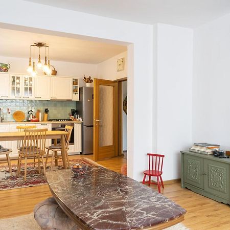 Generous Family Home Vişeu de Sus 외부 사진