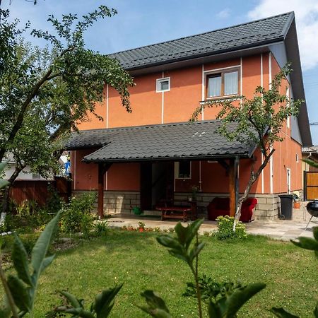 Generous Family Home Vişeu de Sus 외부 사진