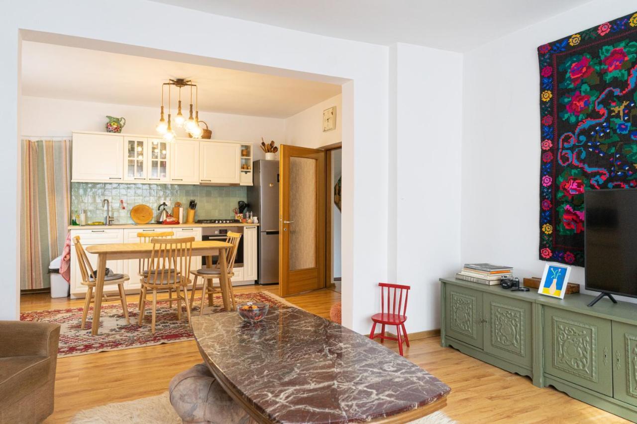 Generous Family Home Vişeu de Sus 외부 사진