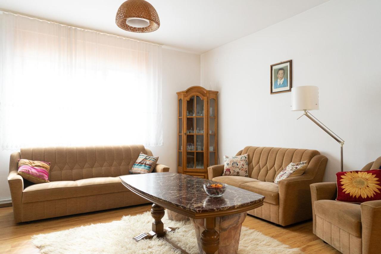 Generous Family Home Vişeu de Sus 외부 사진