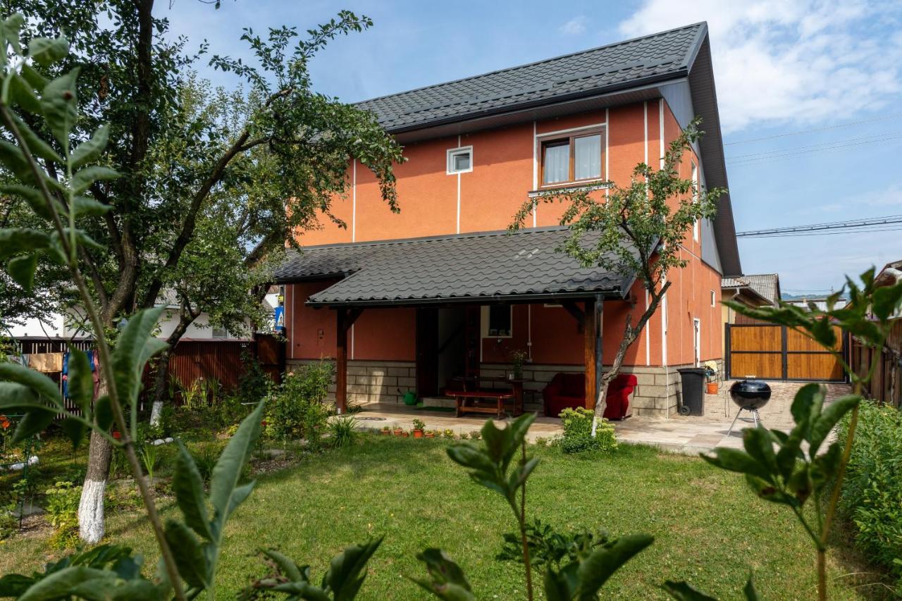 Generous Family Home Vişeu de Sus 외부 사진