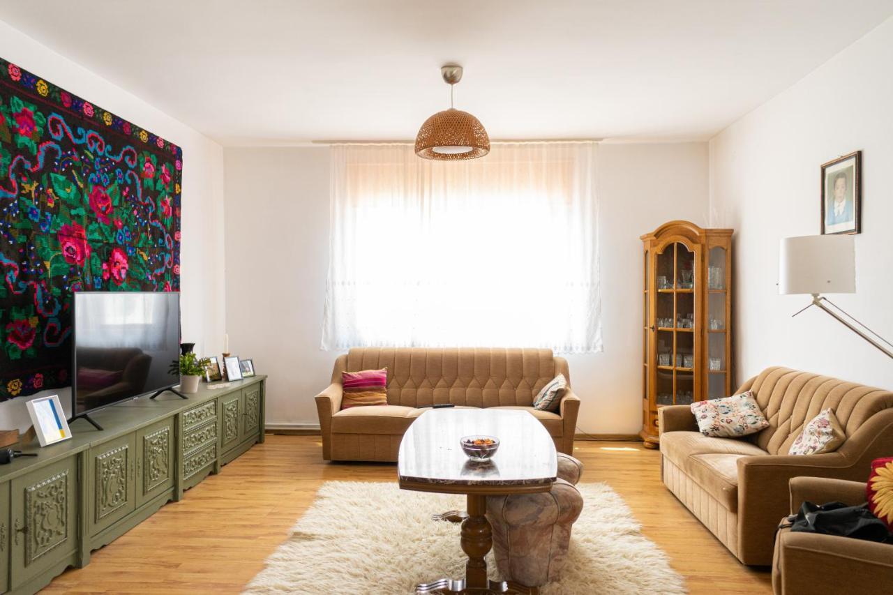 Generous Family Home Vişeu de Sus 외부 사진