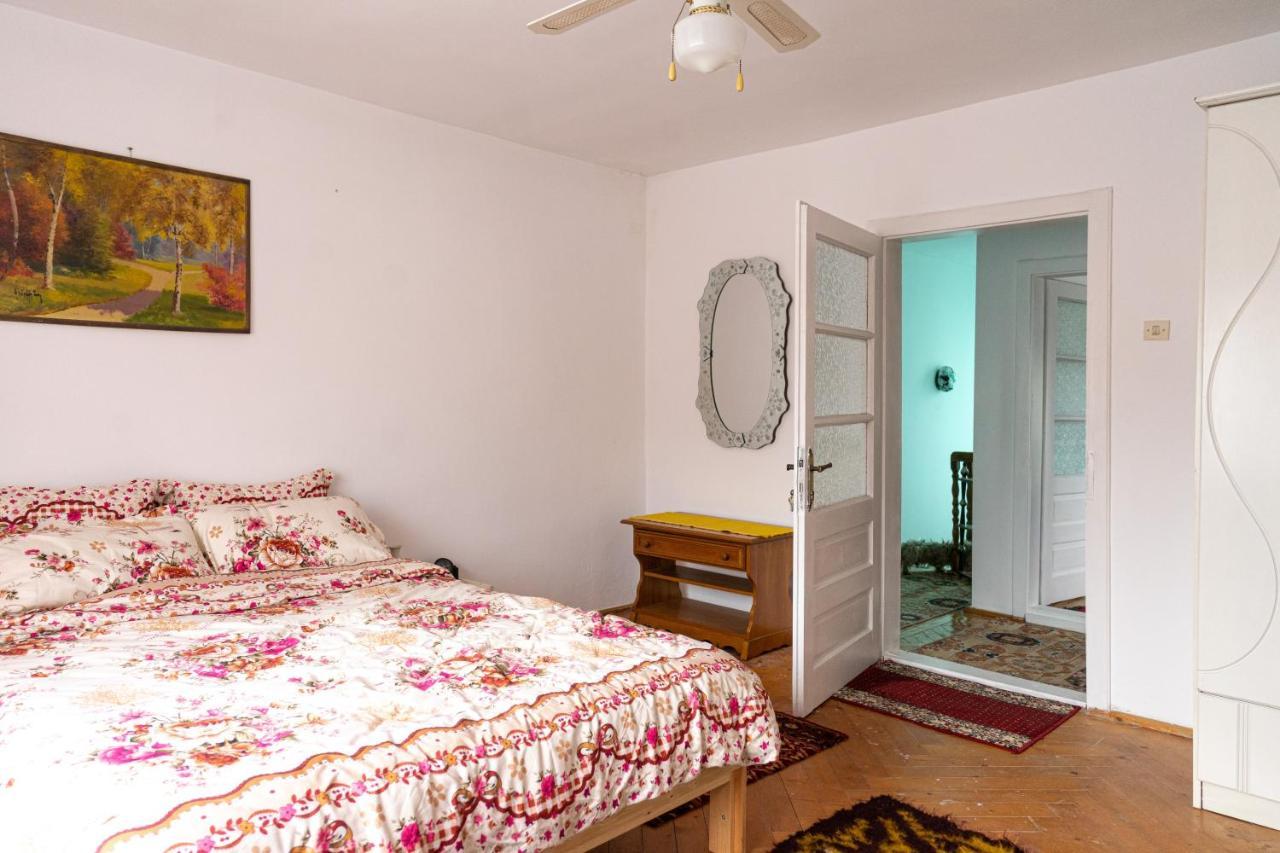 Generous Family Home Vişeu de Sus 외부 사진