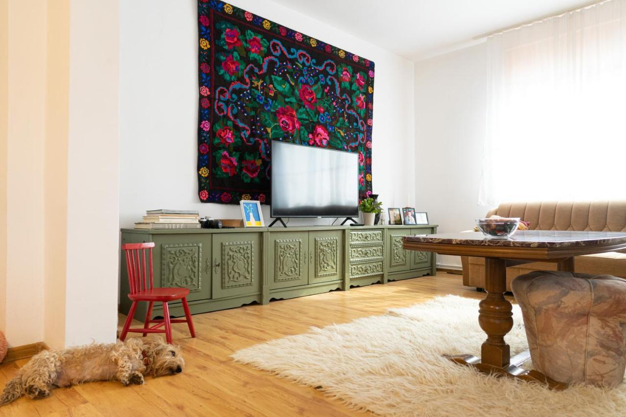 Generous Family Home Vişeu de Sus 외부 사진