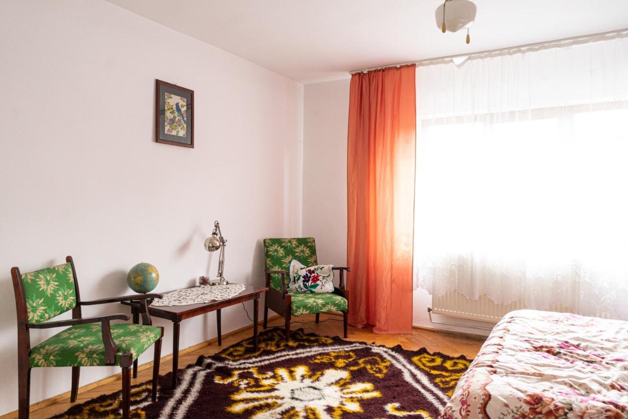 Generous Family Home Vişeu de Sus 외부 사진