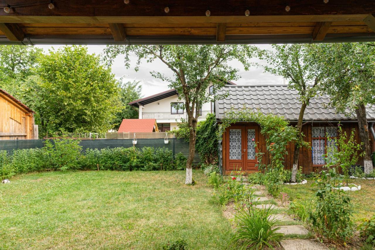 Generous Family Home Vişeu de Sus 외부 사진
