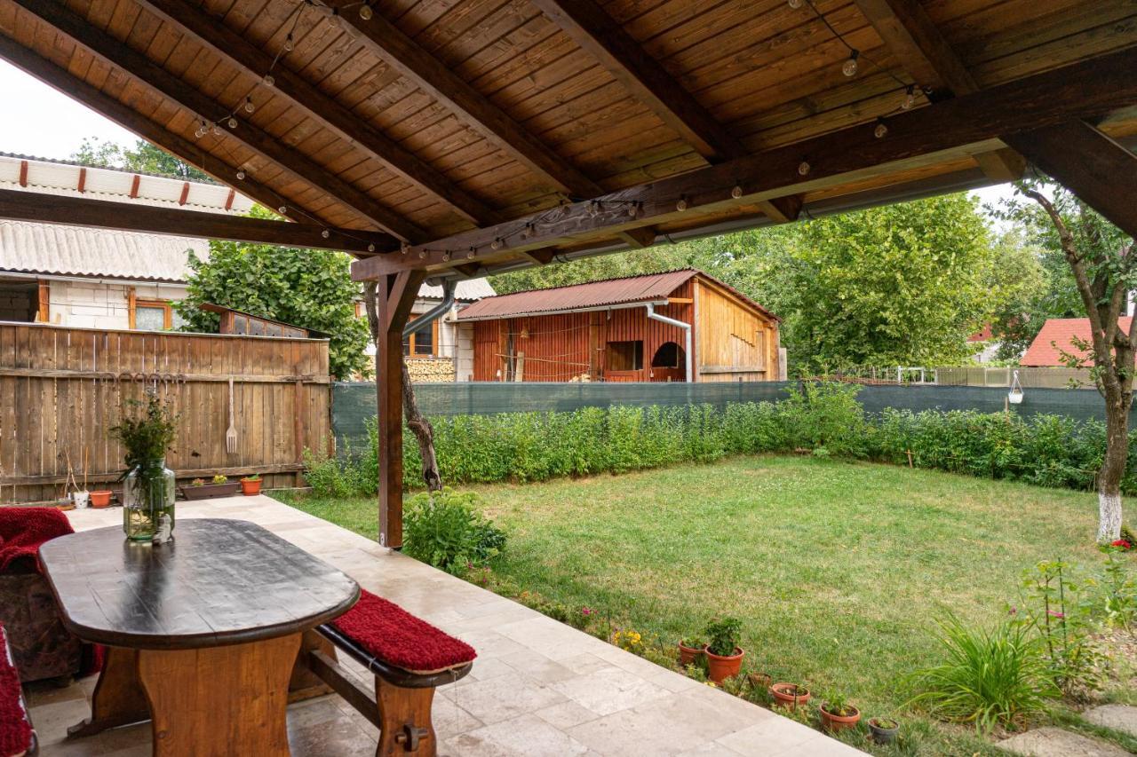 Generous Family Home Vişeu de Sus 외부 사진