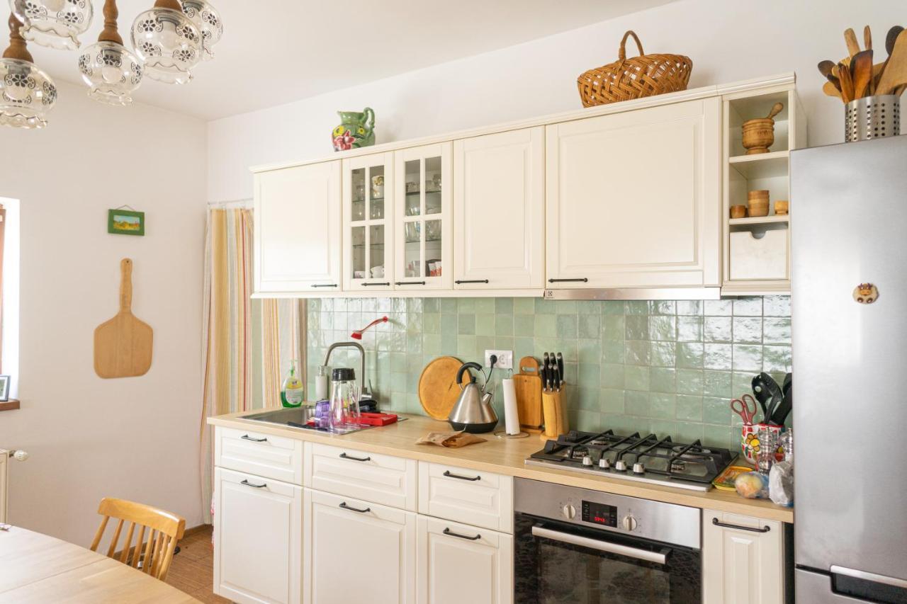 Generous Family Home Vişeu de Sus 외부 사진