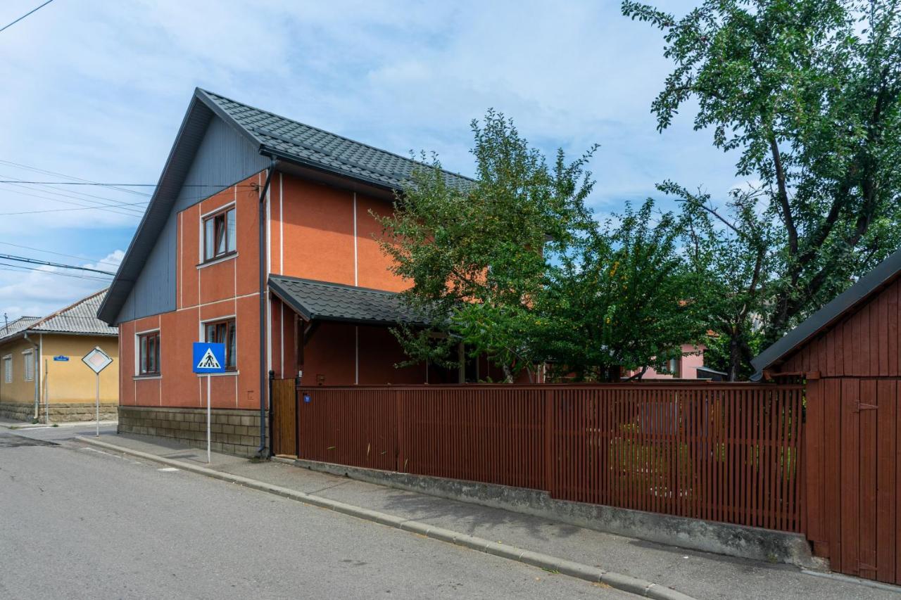Generous Family Home Vişeu de Sus 외부 사진